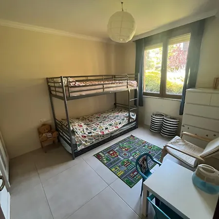 Bear's Apartment